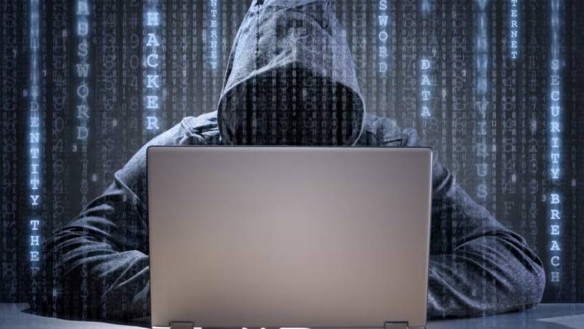 西双小程序定制开发：.NET的利刃与暗礁
